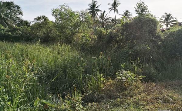 tanah sungai menghulu langkawi untuk di jual